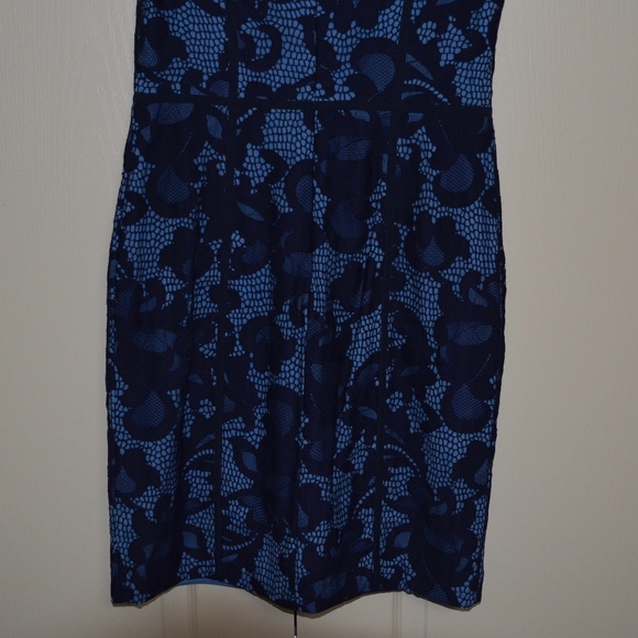 Cynthia Steffe Elenora Sleeveless Seamed Lace Sheath Dress - Picture 10 of 11